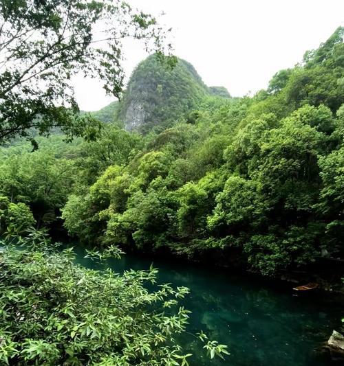 眼前美景（我眼中的美景）-第3张图片-学作网