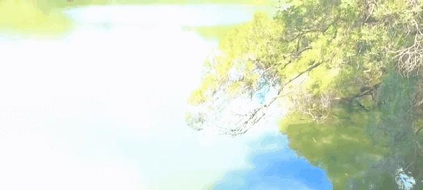 母爱永恒——一个母亲的无私付出-第2张图片-学作网
