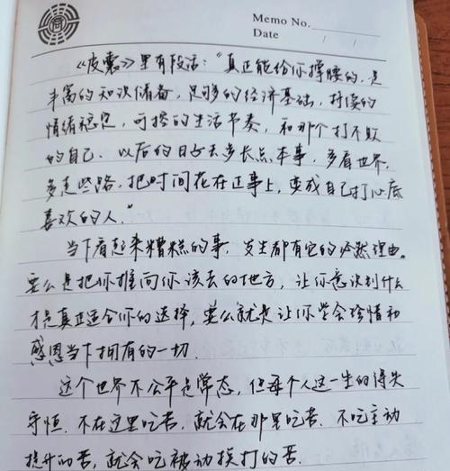 走在未来的节奏中（一位年轻人的奋斗故事）-第1张图片-学作网