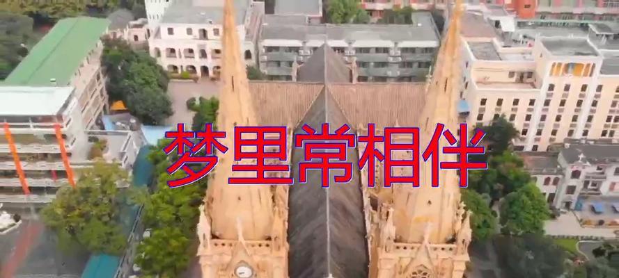 守护真爱（一份爱的记忆）-第1张图片-学作网